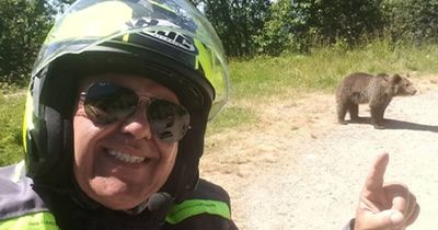 Bear Drags Tourist Off Cliff After He Ignores Warnings To Snap Selfie With Cub
