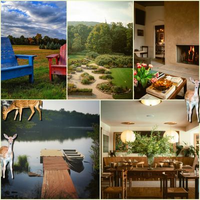 The Hidden-Gem Guide to New York’s Northern Catskills