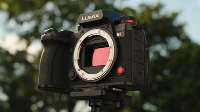 Panasonic Lumix S1 II review: Speed demon