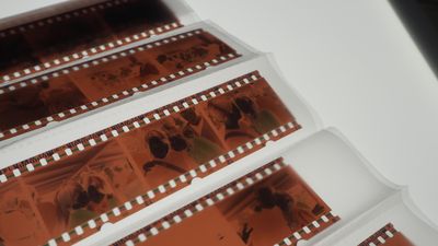 Has the film photography resurgence finally run its course?