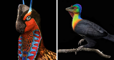 This Artist Shows What Long-Extinct Animals Might’ve Looked Like In His 21 Illustrations