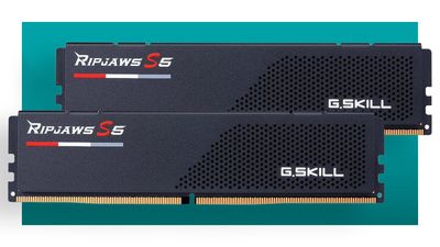I don't need 64 GB of RAM but I am tempted when prices are as low as they are right now for genuinely speedy sticks