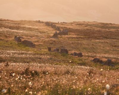 Country diary: The sense of emptiness in these driven-grouse moors stirs a deep melancholy