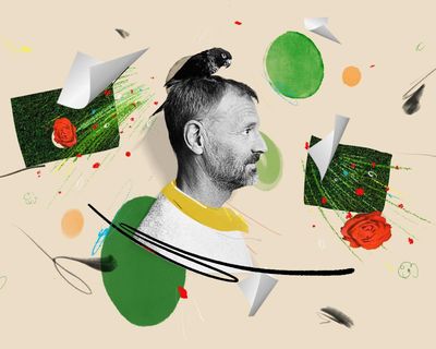 Tim Dowling: a rake has it in for me – and the tortoise