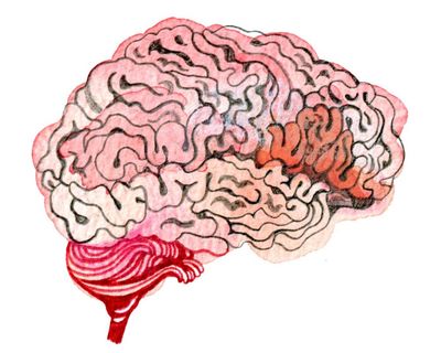 How do our brains remember stuff and how fast can lava flow? The kids’ quiz