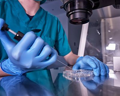 Lab-grown sperm and eggs just a few years away, scientists say