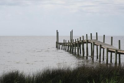 ‘This bill protects our precious waters’: how a Florida environmental group scored a win against big oil