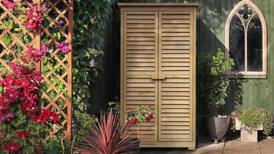 Where Can I Find a Garden Shed That Actually Looks Good? The Best Storage You'll Find This Year, Including One in Farrow & Ball Colors