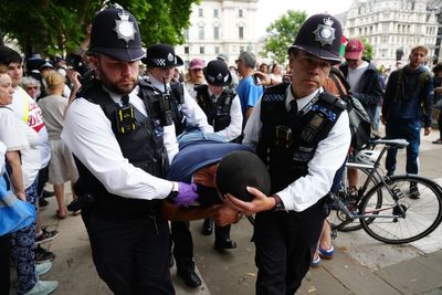 At least 29 arrested at Parliament Square protest backing banned terror group Palestine Action