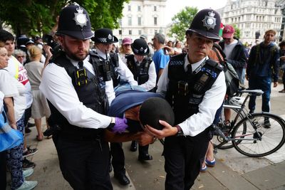 More than 20 arrests at Palestine Action protest after group banned by government