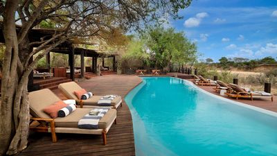 Into the Wild: The South African Safari That Rewrote My Idea of Thrill