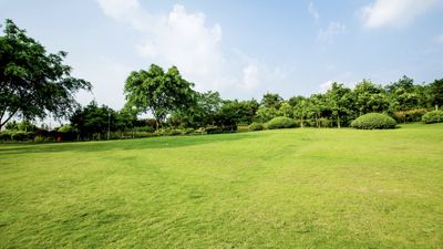 3 expert-approved summer lawn care tips every homeowner should know