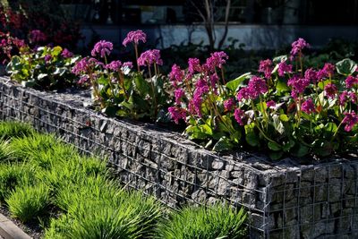 Gabion walls are the surprisingly chic statement your garden is missing