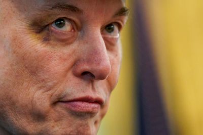 Elon Musk’s proposed new political party could focus on a few pivotal congressional seats