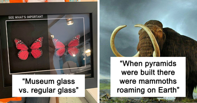 The ‘Facts Encyclopedia’ Instagram Is Dedicated To Sharing “Unknown Facts Daily”, Here’re 33 Of The Most Fascinating Ones