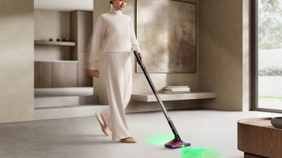 I tried the Dyson PencilVac, and its emptying system was my favourite feature