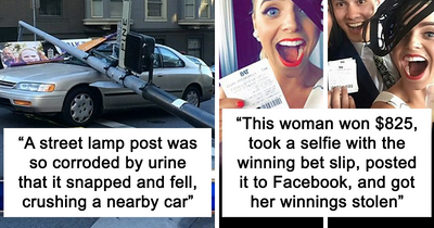 42 ‘Today I Learned’ Facts That Prove It’s Never Too Late To Learn Something New