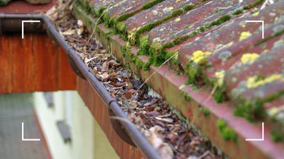 How to clean gutters: an expert guide from drainage specialists for easy maintenance