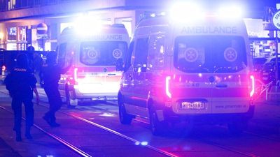 Four killed as small plane crashed in Pinzgau in Austria