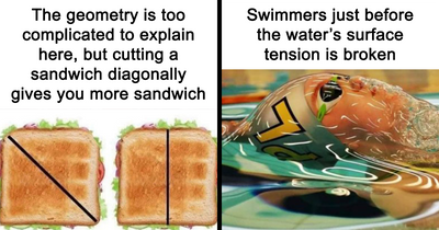 ‘Science Memes’: 44 Of The Most Relatable Posts That Perfectly Marry Knowledge And Humor