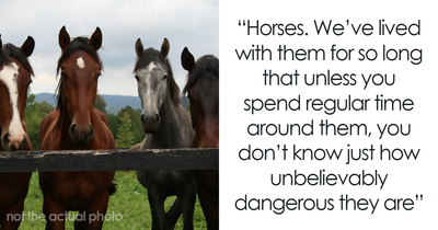 “A Crack In Your Toilet”: 50 Things Most People Don’t Know Could Finish You Off In Seconds