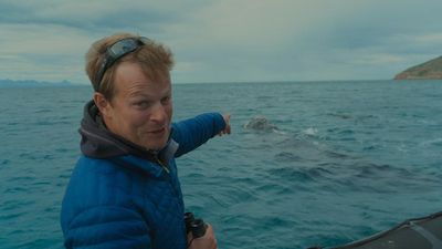 Sharks Up Close with Bertie Gregory premieres on National Geographic tonight