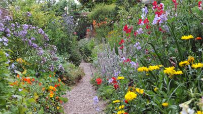 The Hampton Hack will set your yard ablaze with a second wind of flowers – here's exactly how to do it to get your perennials to bloom twice