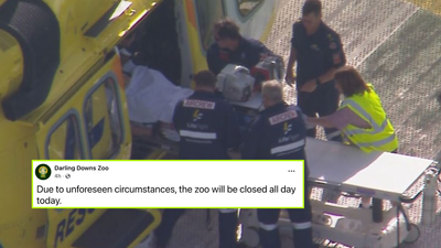Woman Suffers ‘Significant Arm Injury’ After Being Bitten By A Big Cat At QLD Zoo