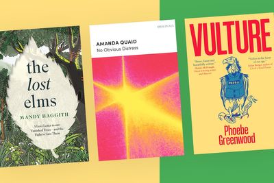 Books of the Month: What to read this July, from a dark satire on war journalism to a memoir told in verse