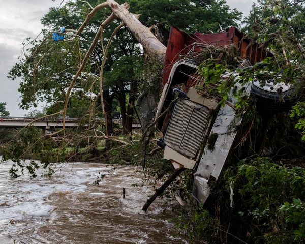 Texas floods: search continues with dozens dead and missing