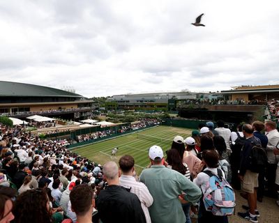 Wimbledon 2025: Alcaraz beats Rublev, Norrie through to quarter-finals, Kartal bows out – as it happened