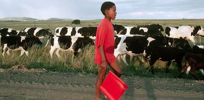 Child labour numbers rise in homes where adults are jobless – South African study