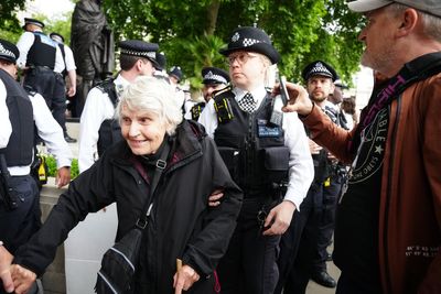 Law has 'no age limit' says Met chief after 83-year-old arrested at Palestine Action protest