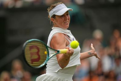 Line calling ‘errors’ continue to cause Wimbledon drama