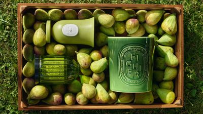 5 Summer Candle Scents That Will Set the Vibe for the Season — And Which Brands to Buy Them From