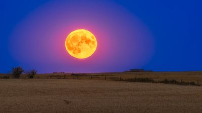 Buck Moon 2025: How to spot the year's farthest full moon from the sun