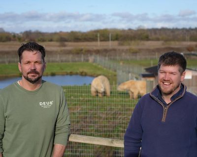 Jimmy Doherty’s Big Bear Rescue review – 72 hours later, I’m still weeping