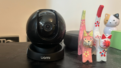 Are pet cameras worth it? I put one to the test to find out!