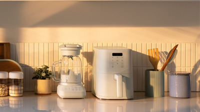 Demi Lovato loves this space-saving air fryer – I tried it and despite being petite, it's surprisingly powerful