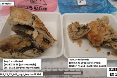 Erin Patterson trial latest: First photos of deadly beef wellington mushroom lunch released