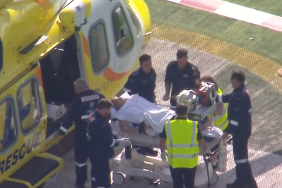 Woman ‘loses arm’ in lion attack at Australian zoo