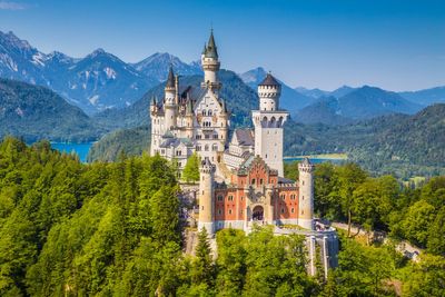 Tourist left dog in hot locker so she could explore castle, say police