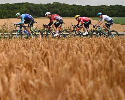 Tour de France 2025: Merlier wins chaotic stage three as Philipsen crashes out in green jersey – as it happened
