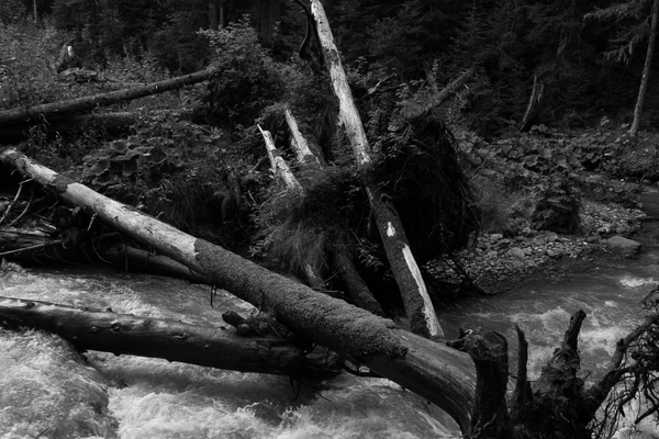 Texas Flash Flood at Camp Mystic: Rescue Efforts, Death Toll, and Will Trump Visit?