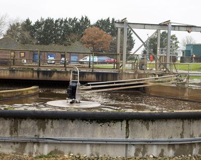 Millions of tonnes of toxic sewage sludge spread on UK farmland every year
