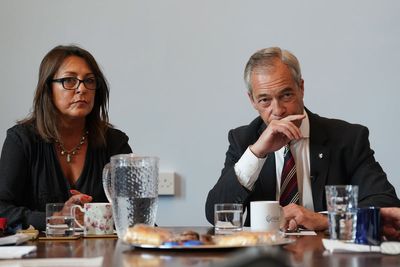 Reform councillors were ‘shocked’ that they won their seats, says Farage