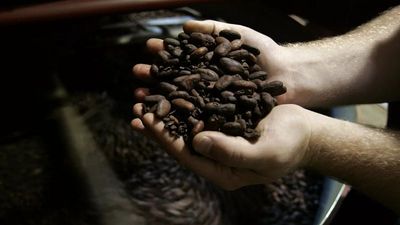 World Chocolate Day: The EU is celebrating with sky-high prices
