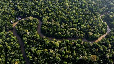 Eighteen EU countries call for 'simplification' of EU Deforestation Law