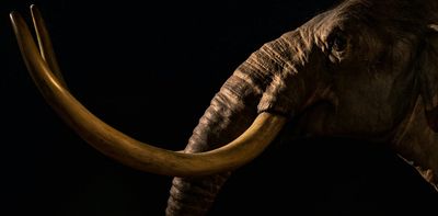 Why are we so obsessed with bringing back the woolly mammoth?