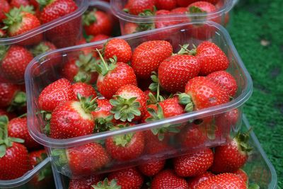 The benefits of summer fruits - including one that'll help you sleep